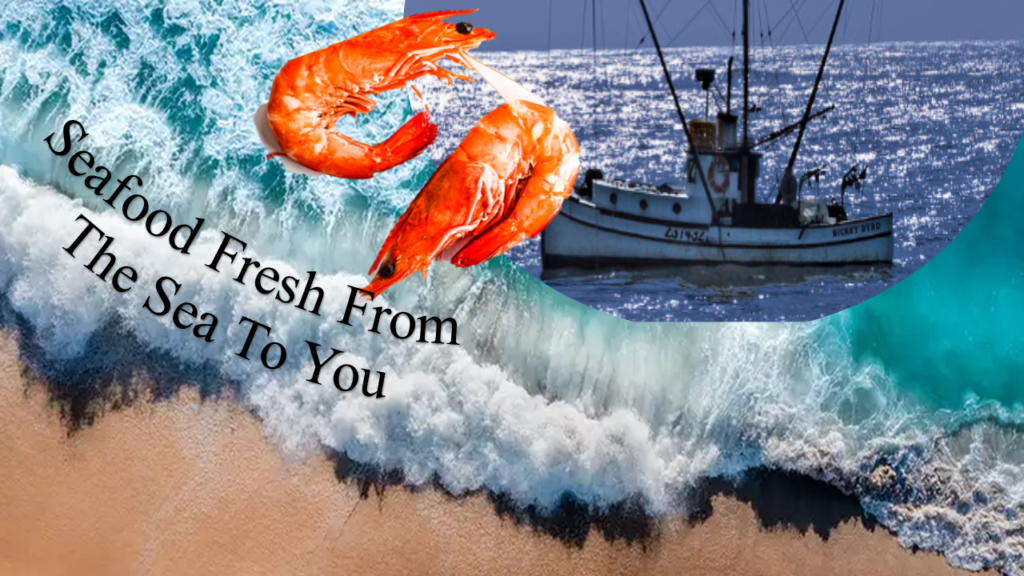 seafood catch of the day Fresh to your Party Table